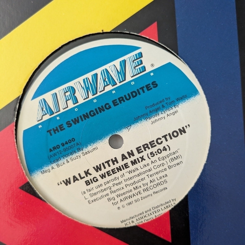 Vinyl Record Walk With An .... - Picture 2 of 3
